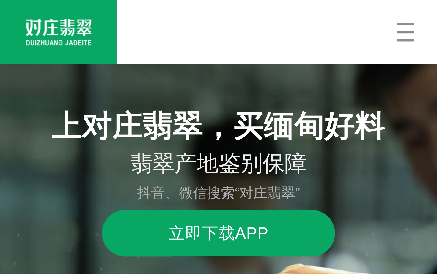 对庄翡翠 页面快照